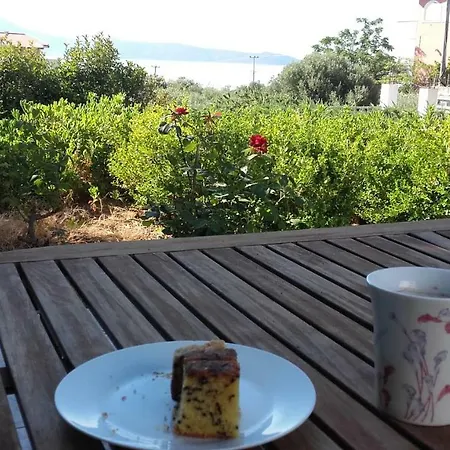 Holiday home Flat With Sea View Aliveri